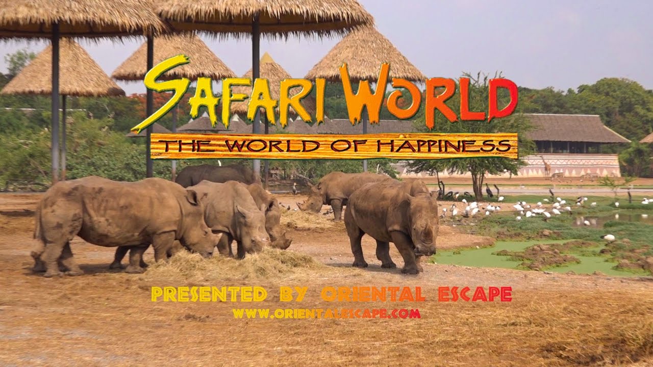Vé Safari World tại Bangkok