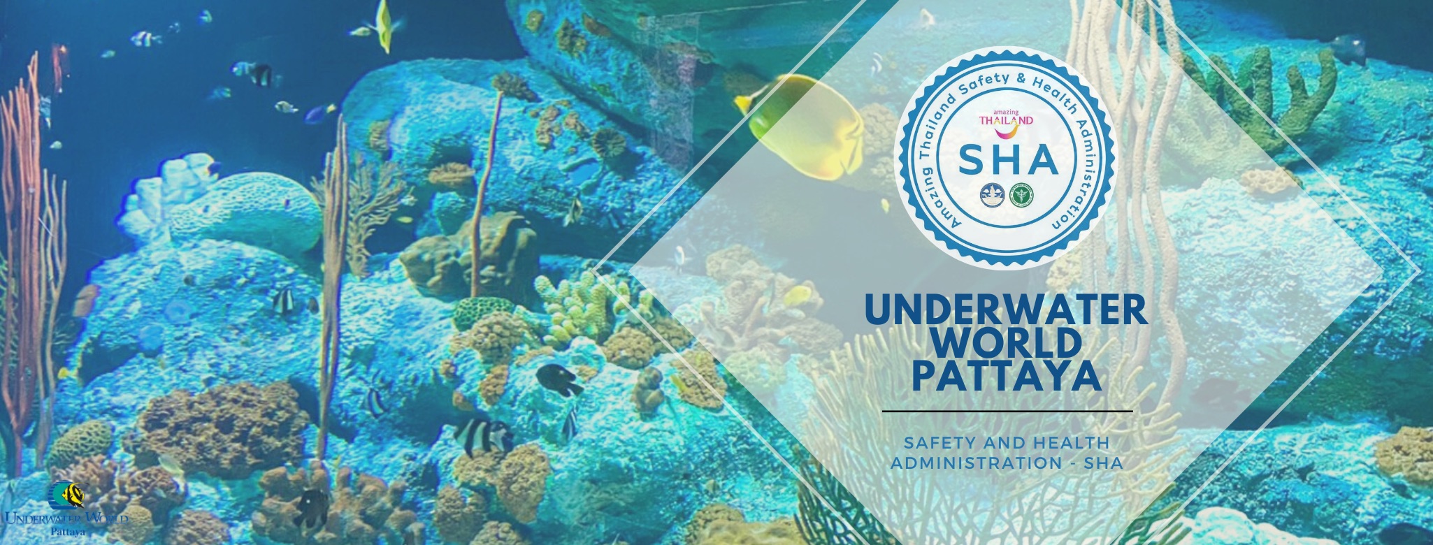 Vé tham quan Underwater World