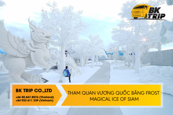 Tham quan Vương quốc băng Frost Magical Ice of Siam